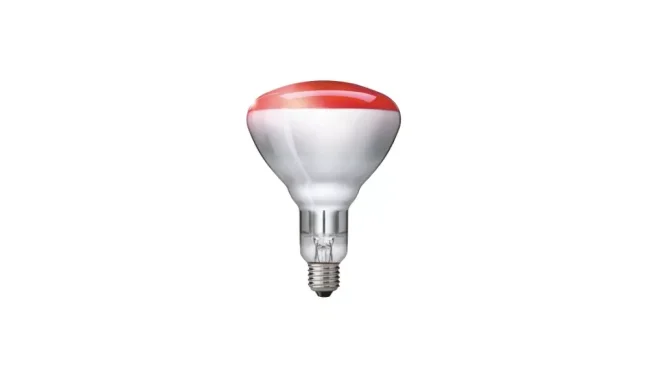 Philips BR125 IR 250W Red 230-250V E27