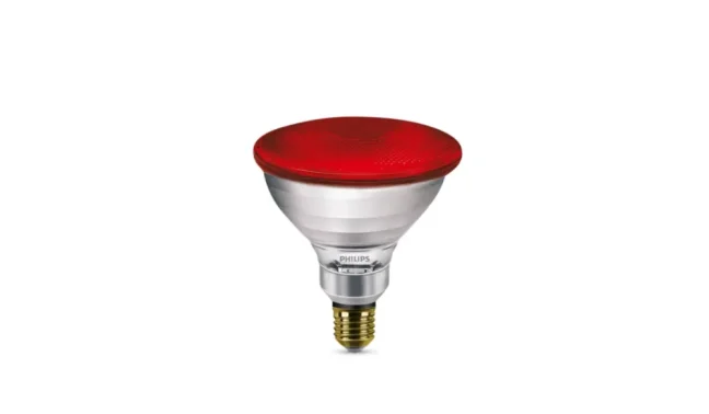 Philips PAR38 IR 175W Red 230V E27
